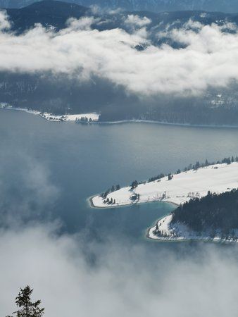 IMG_20190223_124441.jpg