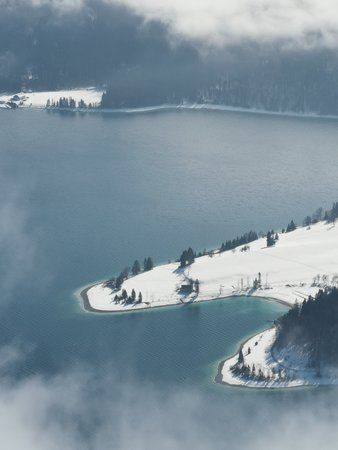 IMG_20190223_124445.jpg