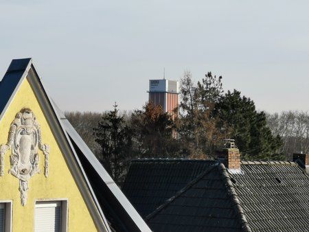 IMG_20190223_153945.jpg