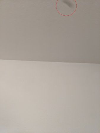 IMG_20190224_165324.jpg