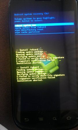 IMAG0012.jpg