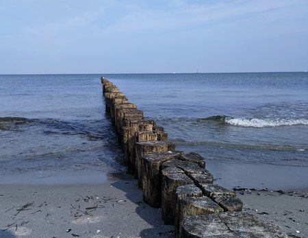 IMG_20180808_093153_1_1.jpg