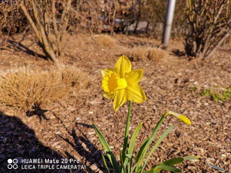 IMG_20190227_130145.jpg