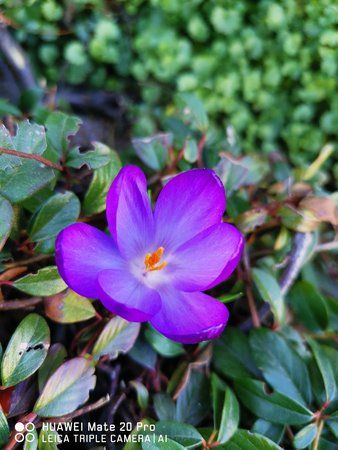 IMG_20190227_131218_BURST002.jpg