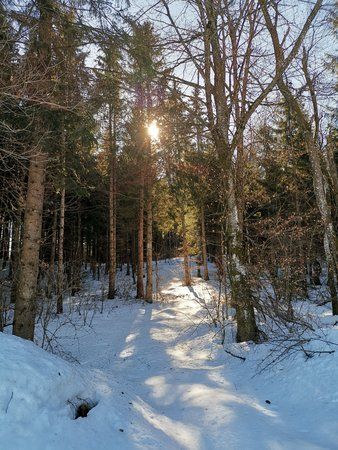 IMG_20190227_102659.jpg