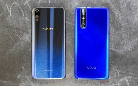 vivo1.jpg