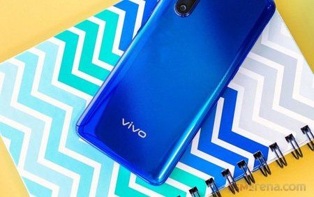 vivo2.jpg