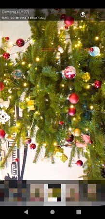 IMG_20190228_031753.jpg