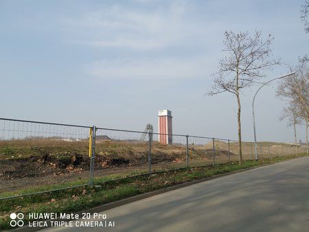 IMG_20190228_125439.jpg