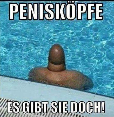 BDCOoNzzZ74Ue1gCF7QokR7rs428nGVXD09sj5nsv4X0cenR2l6MGjEssecLajEA.jpg