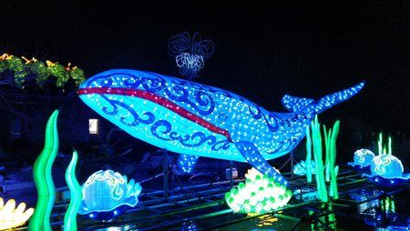 IMG_20190302_190648.jpg
