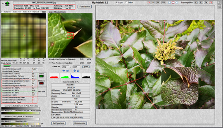 MyArtefakt-40 MPix.png
