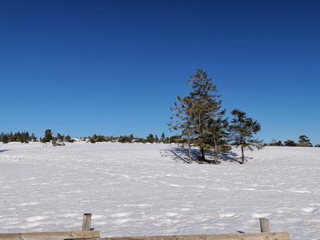 IMG_20190216_140220.jpg