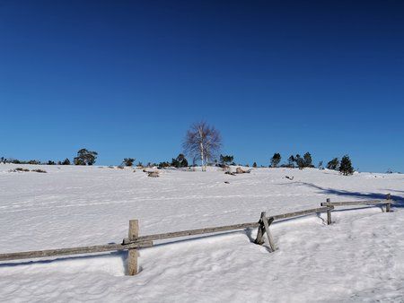 IMG_20190216_140012.jpg