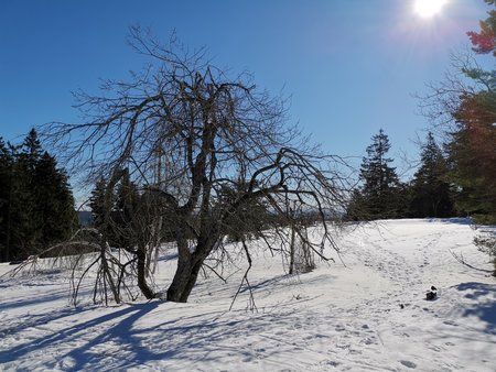 IMG_20190216_140819.jpg