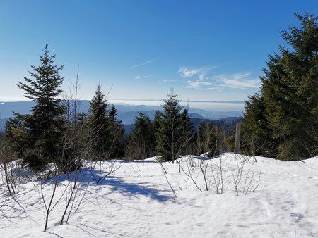 IMG_20190216_134358.jpg