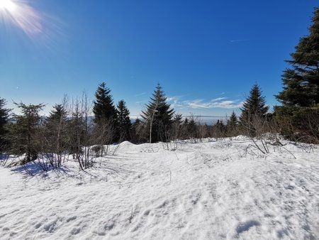 IMG_20190216_134232.jpg