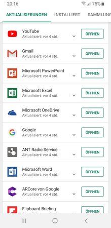 Screenshot_20190304-201649_Google Play Store.jpg