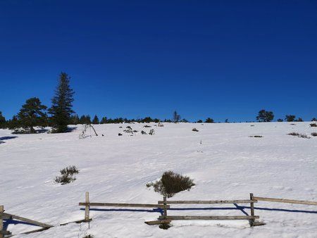 IMG_20190216_135744.jpg