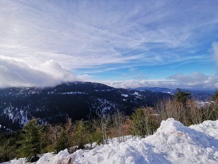 IMG_20190202_113143.jpg