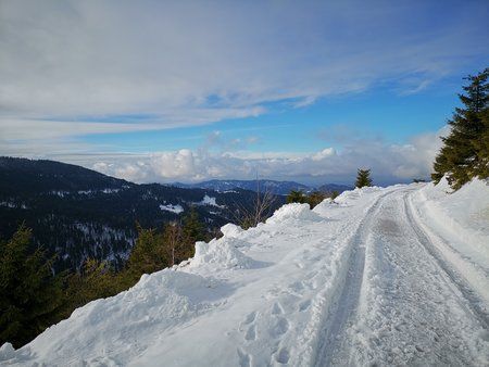 IMG_20190202_115019.jpg