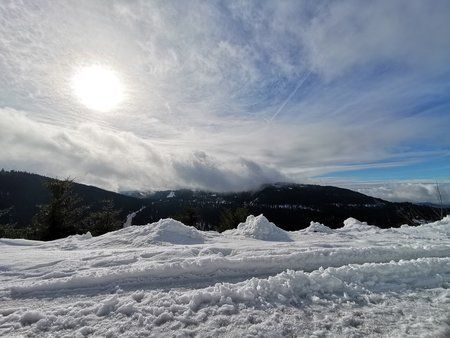 IMG_20190202_114736.jpg