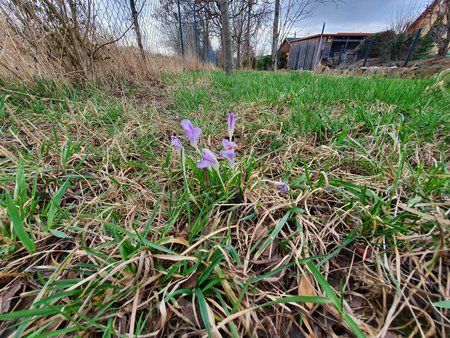20190307_090443.jpg