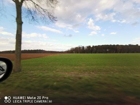 IMG_20190308_161329.jpg