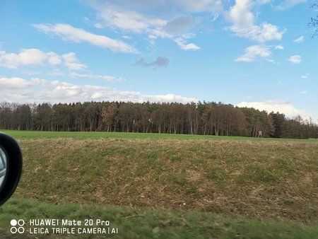 IMG_20190308_161322.jpg