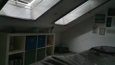 20190309_074257.jpg
