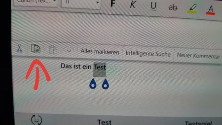 In Word kopieren.jpg