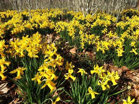 IMG_20190309_135955-01-1024x768.jpeg