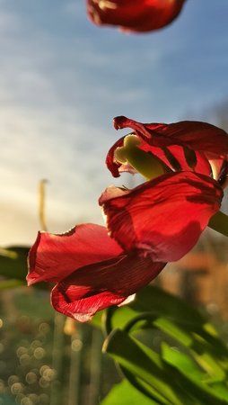 IMG_20190309_174542-01.jpeg