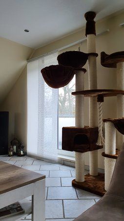 20190311_155741.jpg