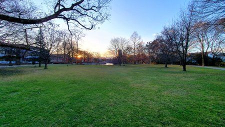 IMG-20190311-WA0009.jpg