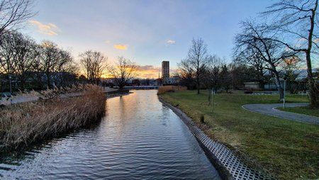 20190311_180242.jpg