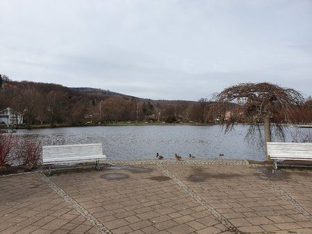 20190312_115315.jpg