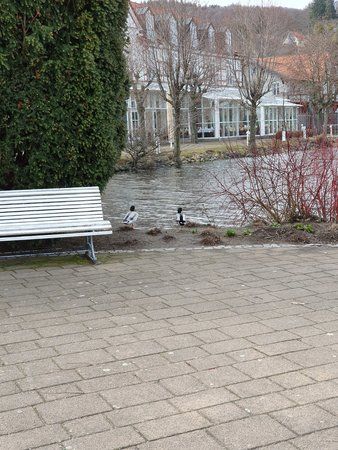 20190312_115410.jpg
