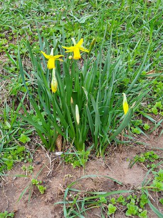 20190313_171845.jpg