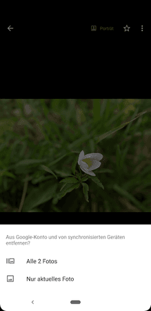 Screenshot_20190315-203715.png