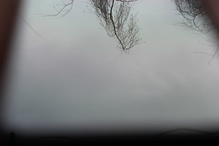 IMG_2552.JPG