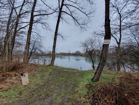 20190316_145730_copy.jpg
