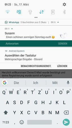 Screenshot_20190317-092333_Samsung Internet.jpg