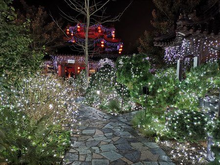 IMG_20181208_175946.jpg
