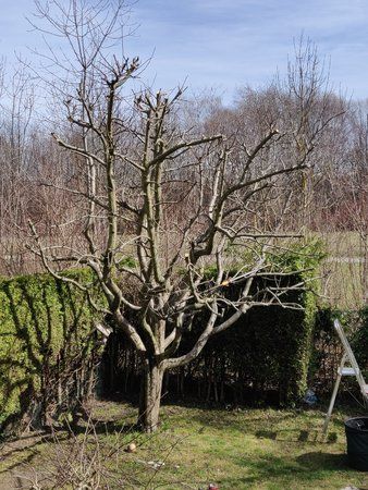 IMG_20190317_115013.jpg
