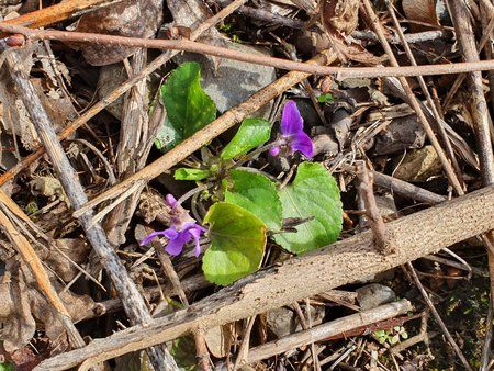 20190312_111906.jpg