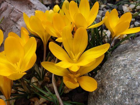 20190317_123449.jpg