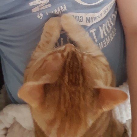 20190317_165426.jpg