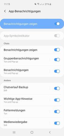 Screenshot_20190319-111519_Settings.jpg