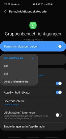 Screenshot_20190320-205947_Settings.jpg